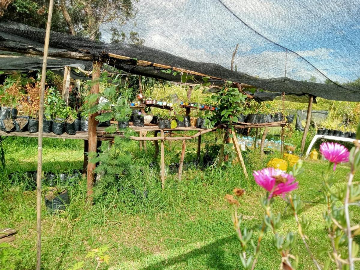 Hospedaje Y Zona De Camping Pistacho Guest House บียาเดเลย์บา ภายนอก รูปภาพ