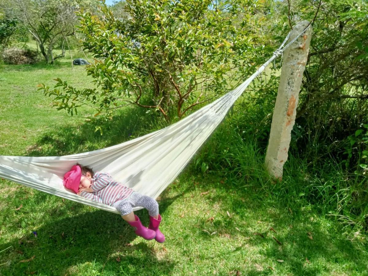 Hospedaje Y Zona De Camping Pistacho Guest House บียาเดเลย์บา ภายนอก รูปภาพ