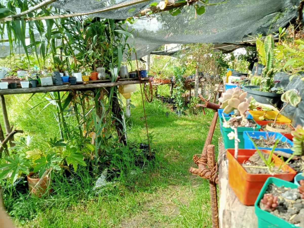 Hospedaje Y Zona De Camping Pistacho Guest House บียาเดเลย์บา ภายนอก รูปภาพ